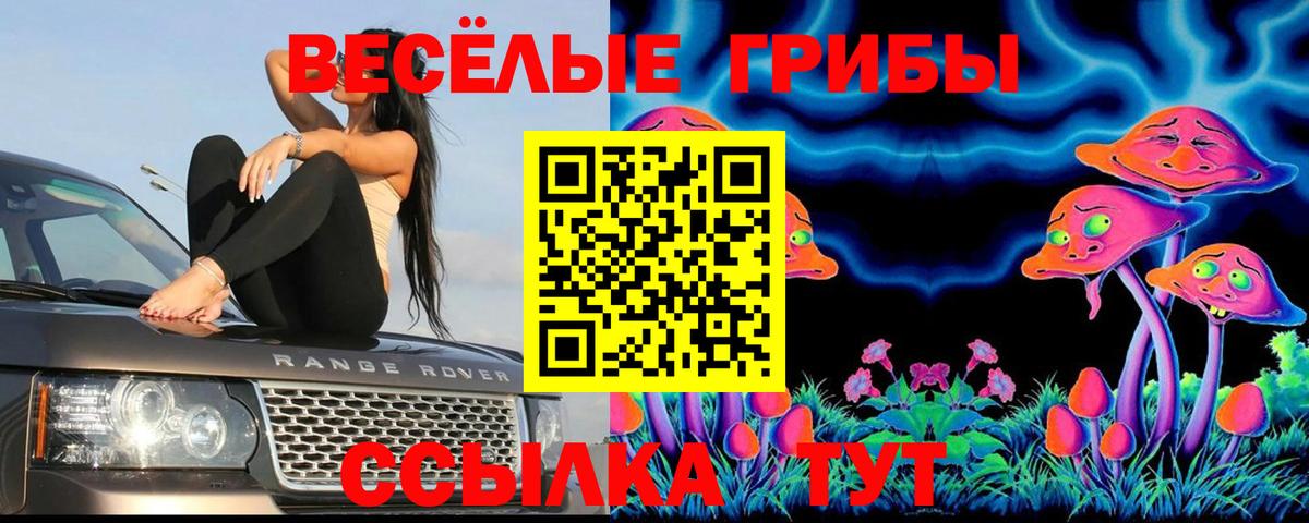 Псилоцибиновые грибы мицелий Георгиевск