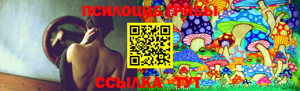 Галлюциногенные грибы GOLDEN TEACHER  Вход с VPN  Георгиевск 